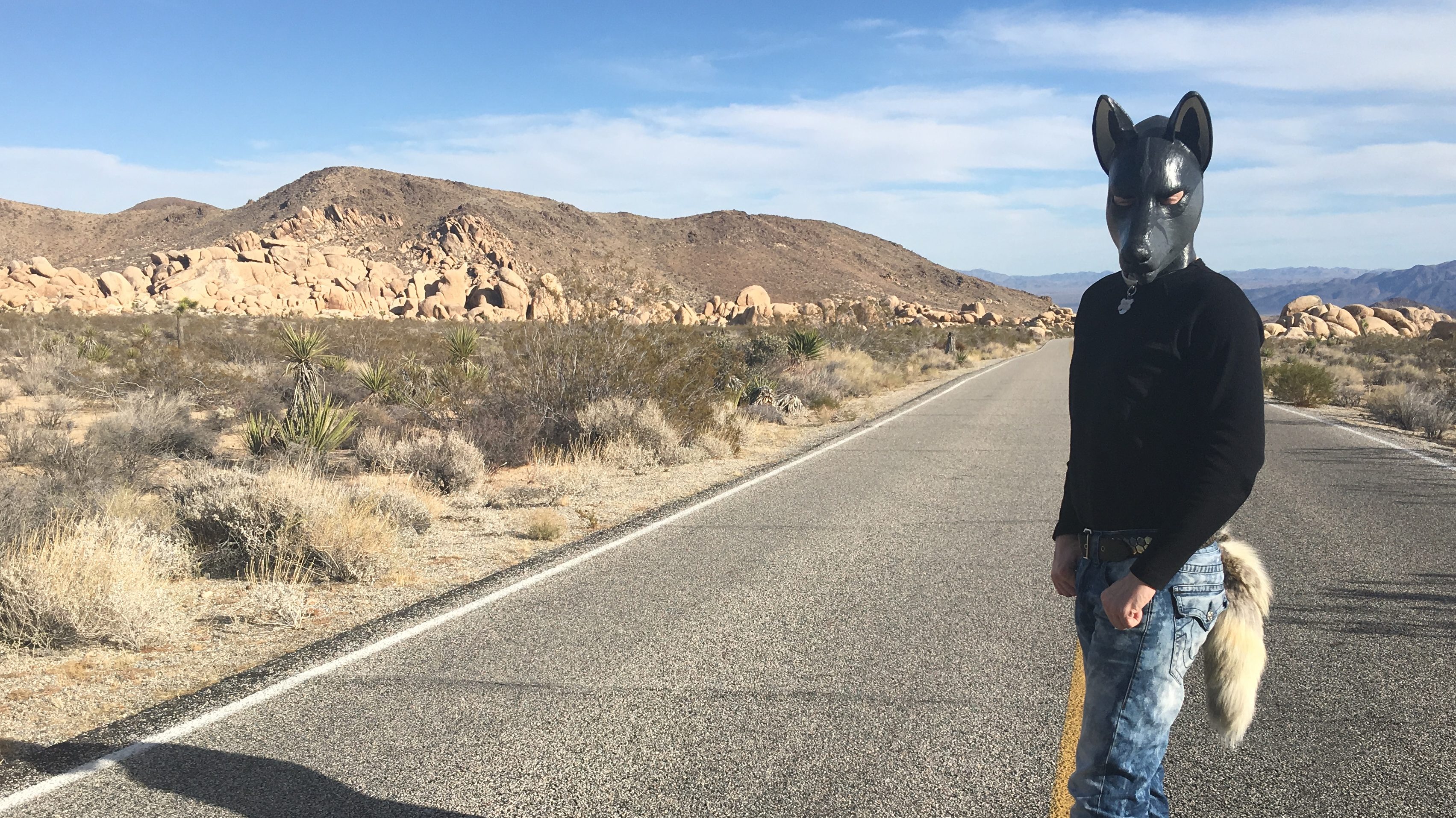 私はラテックス・G.N.R.・スペース・コヨーテである: I am Latex G.N.R. Space-Coyote